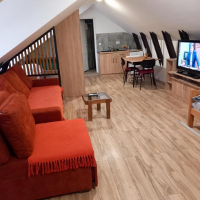 apartman 1 porodicni uzice